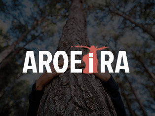 Aroeira